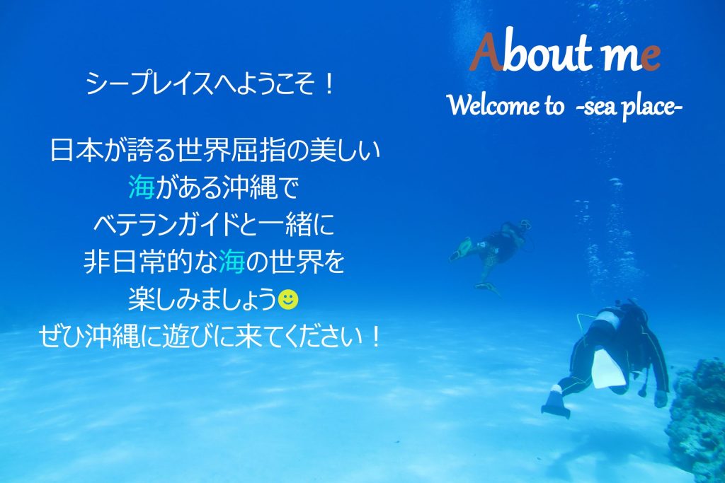 シープレイスへようこそ