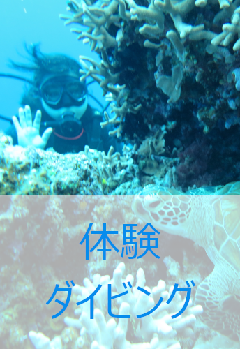 体験ダイビング