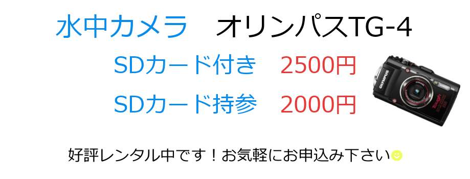 カメラレンタルの料金