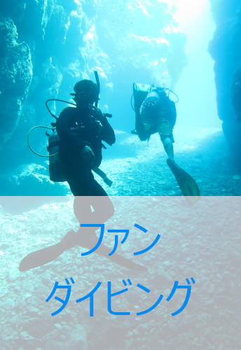 ファンダイビング